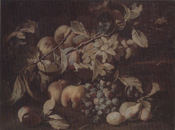 unknow artist Still life of red and white grapes,peaches and plums,on a stone ledge oil painting image